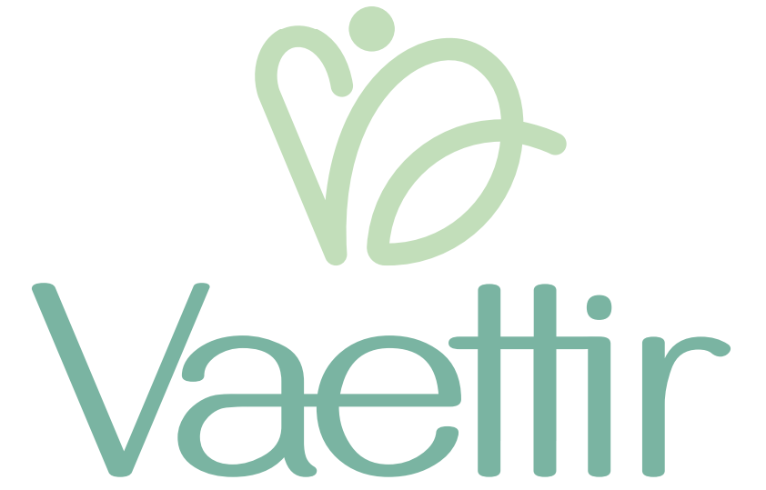 vaettircarinena.com favicon